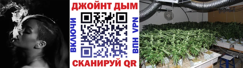 купить наркотики цена Великие Луки Шишки марихуана марихуана